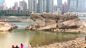 发现冷知识,探索奇趣——厨房水槽如何安装?,一个专属你的分享平台